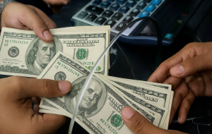 Buenos para mandar dólares, pero no para exigir derechos (OPINION)