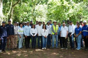 Energía y Minas reforesta y sanea cuencas de ríos en Cotuí