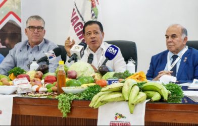 Piden mantener protección a la producción nacional de arroz