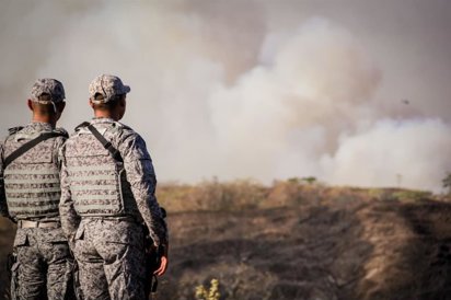 COLOMBIA: Siete guerrilleros y un militar muertos en combates imagen