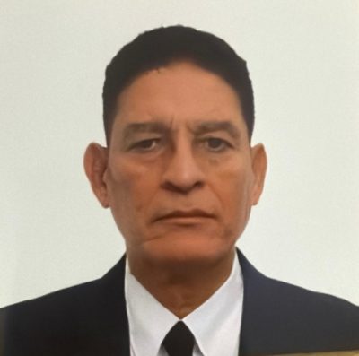 La democracia global: estancamiento y retroceso imagen