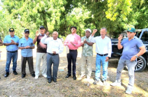 Tabaqueros denuncian crisis por aumento de las importaciones