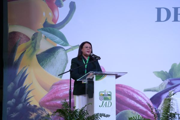 INFOTEP dice transforma sector agropecuario de R. Dominicana imagen