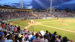 Los Caimanes del Sur: franquicia que representó el sur en Lidom
