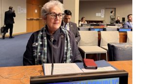 Dominicana reafirma en la ONU modelo integral política pública