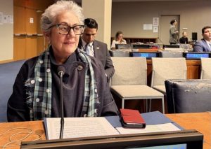 Dominicana reafirma en la ONU modelo integral política pública