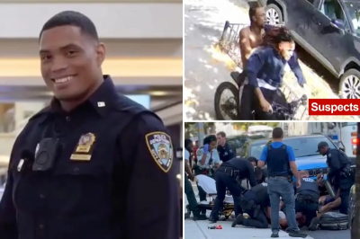 NY: Hieren de siete puñaladas a detective origen dominicano imagen