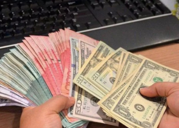 Remesas y la paz social en R. Dominicana (OPINION)