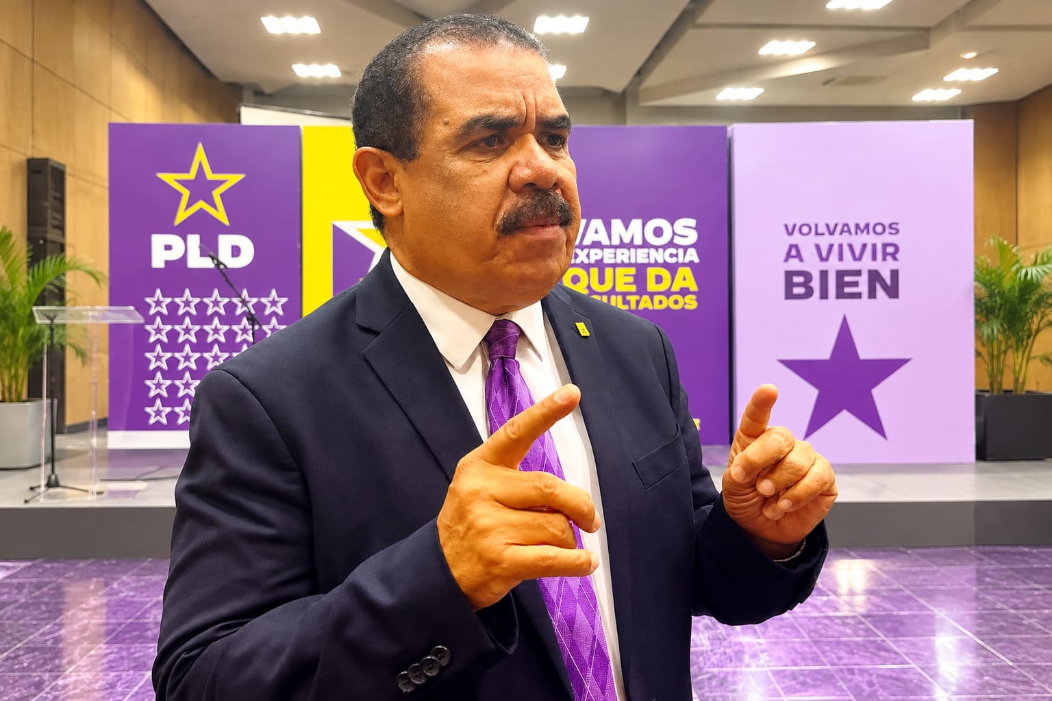 PLD dice que Gobierno debe subsidiar al sector arrocero imagen