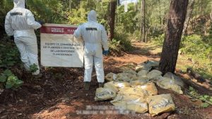 Incautan en México 1,5 t. y tres mil litros de metanfetamina