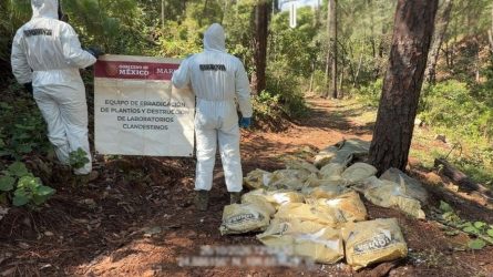 Incautan en México 1,5 t. y tres mil litros de metanfetamina