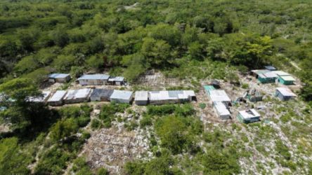 Recuperan terrenos ocupados ilegalmente en área protegida