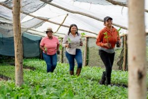 Proyecto agricultura ecológica gana Donativos Ambientales