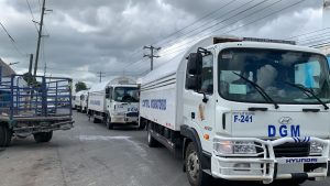 DGM anuncia operativos fincas contra contratación de ilegales DGM anuncia operativos fincas contra contratación de ilegales
