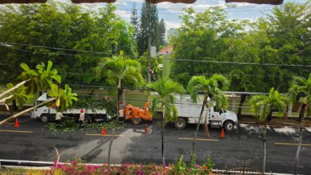 Vecinos denuncian ruido y polvo por trituración de ramas