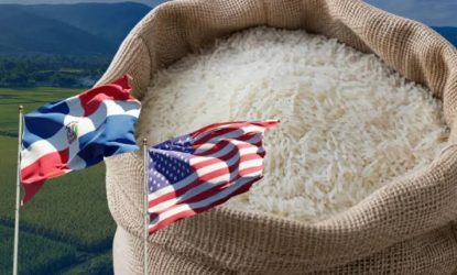 El arroz rendido: crónica de una derogación anunciada